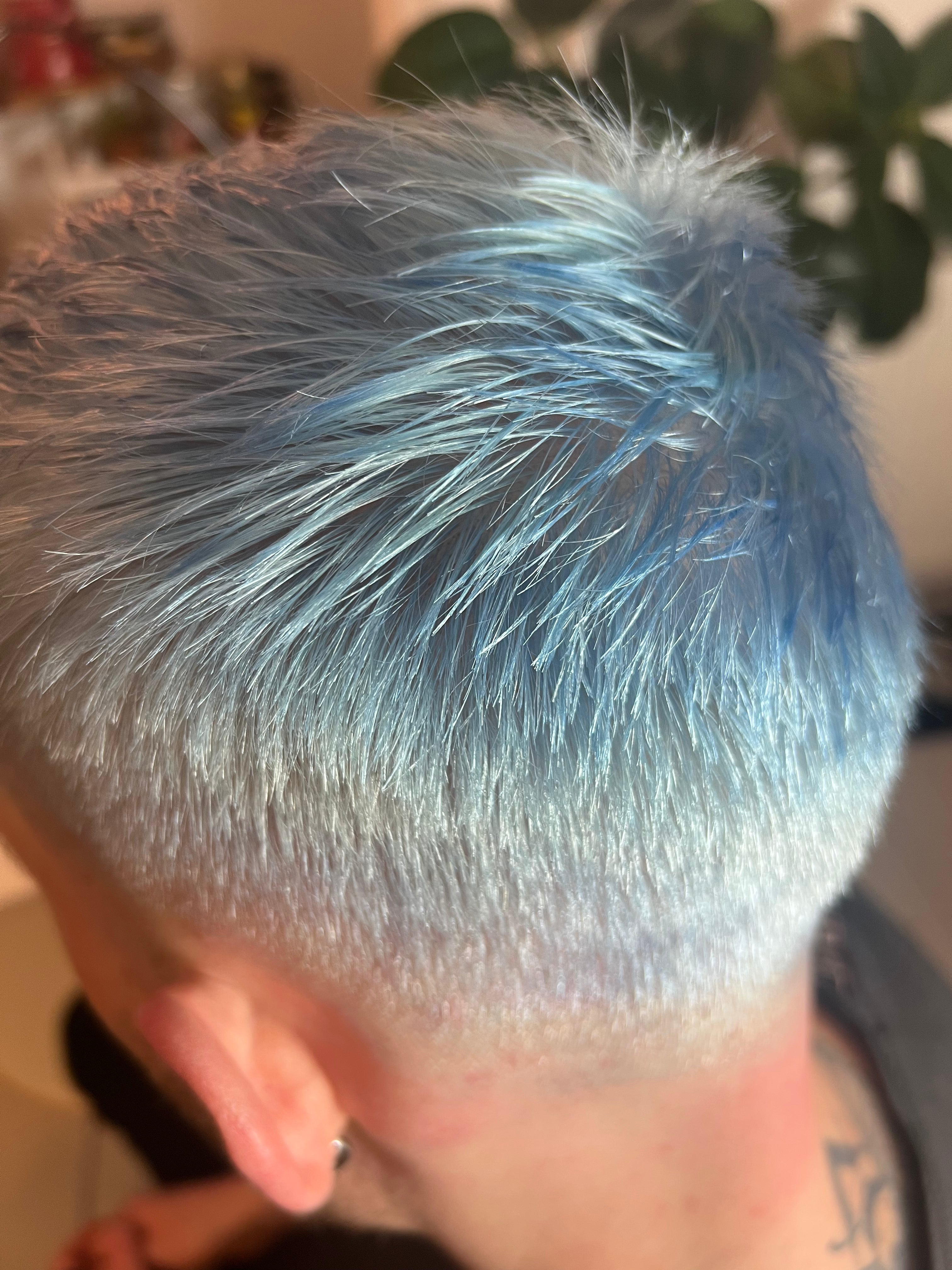 Close-up of a person with blue hair, blurred background